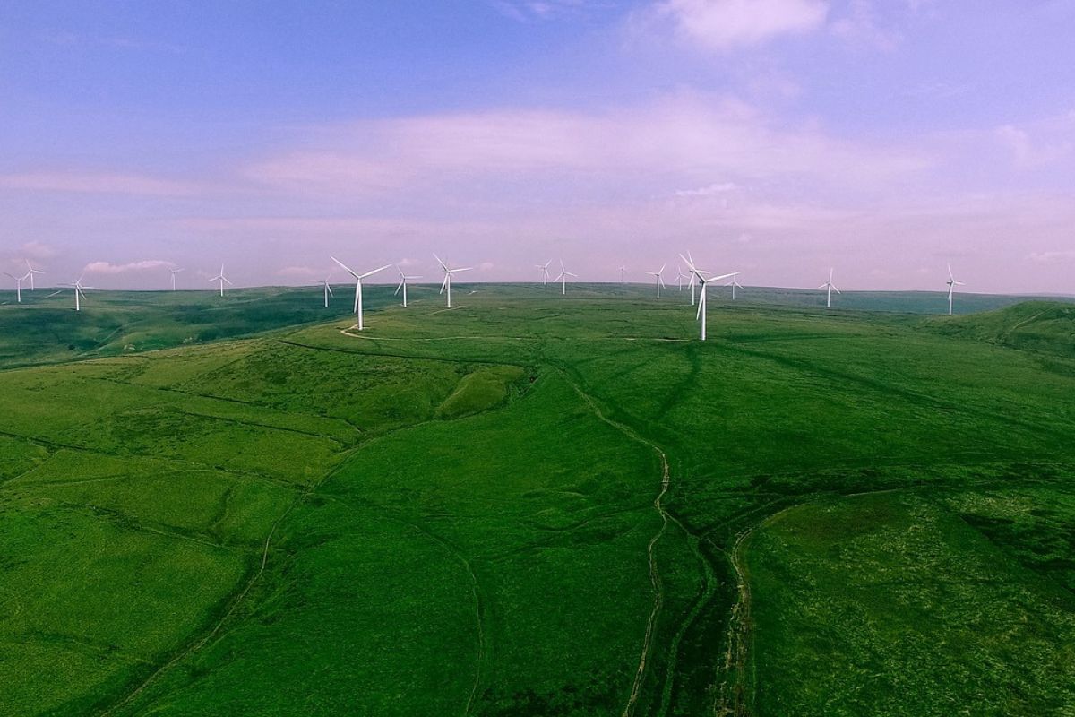 Wiatraki na dużej zielonej przestrzeni